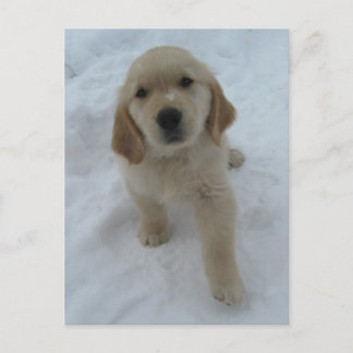 Wish You Were Here Postcard