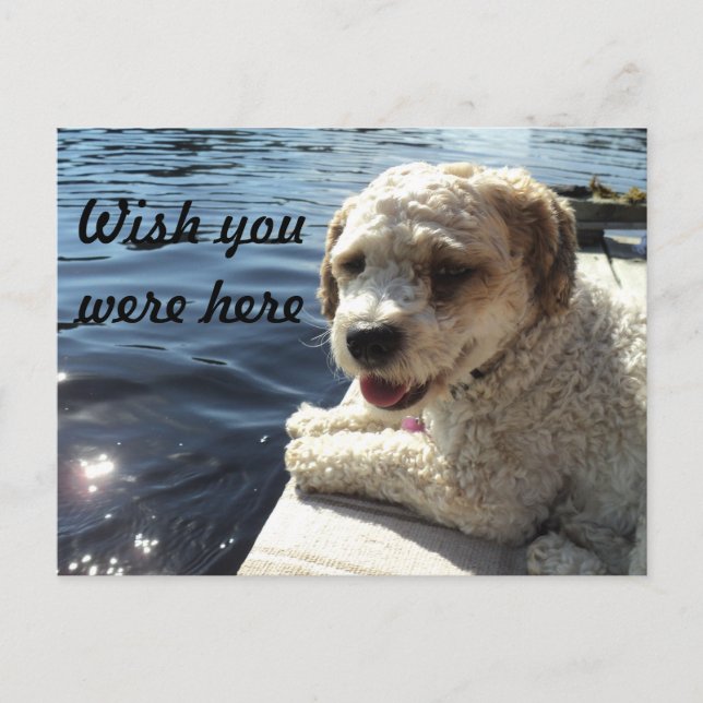 Wish you were here postcard (Front)