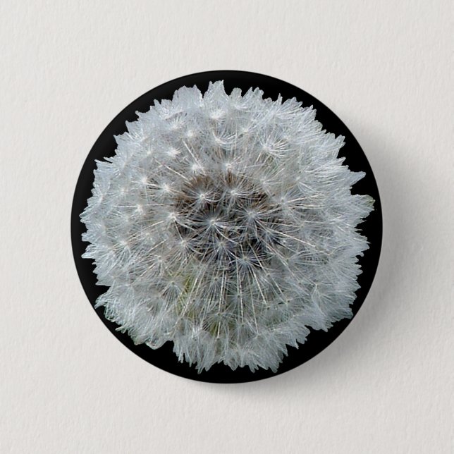 Wishes are Dandy 2 Inch Round Button (Front)