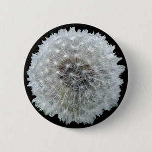 Wishes are Dandy 2 Inch Round Button