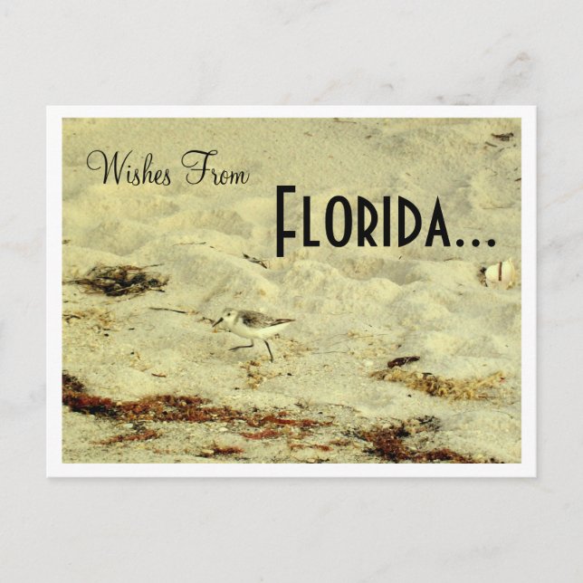 Wishes From, Florida... Postcard (Front)