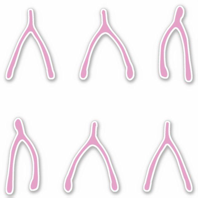 Wishing Bones | Cute Pink Wishbone (Front)