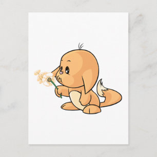 Wishing orange Kacheek Postcard