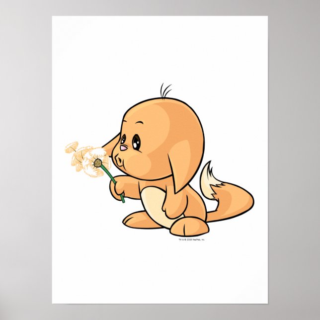 Wishing orange Kacheek Poster (Front)