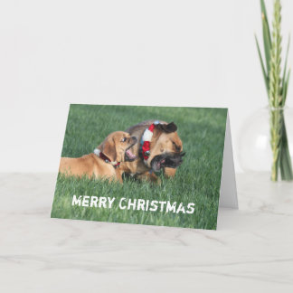 Wishing you a merry Christmas Holiday Card