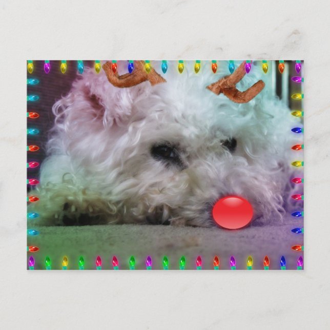 WISHING YOU A MERRY XMAS HOLIDAY POSTCARD (Front)