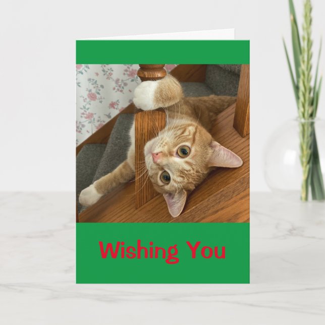 Wishing You Meowy Christmas! Card (Front)