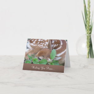 "Wishing you Peace" - Sympathy and Loss Card