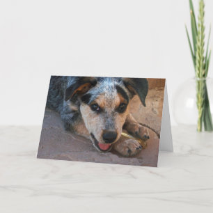 Wishing You Well Cattle Dog Puppy - Western Card