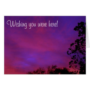 Wishing you were here!