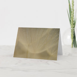 Wispy White Flower Card