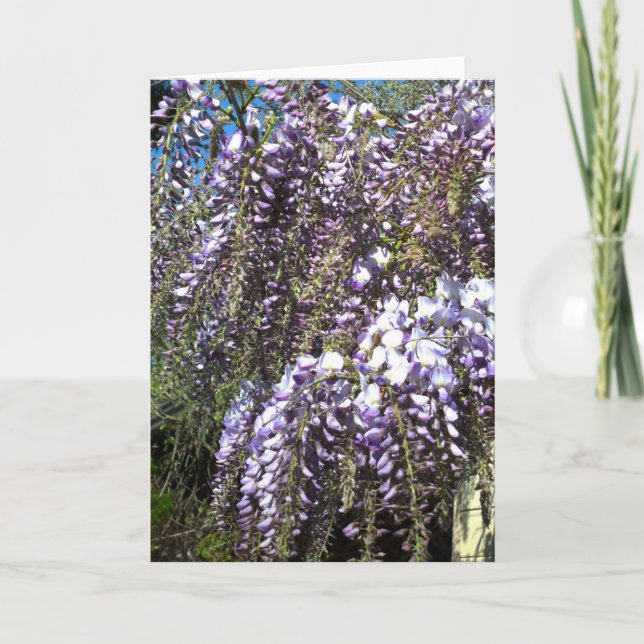 Wisteria Blank Greeting Card (Front)