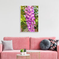 Wisteria Bloom