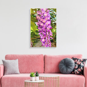 Wisteria Bloom Canvas Print