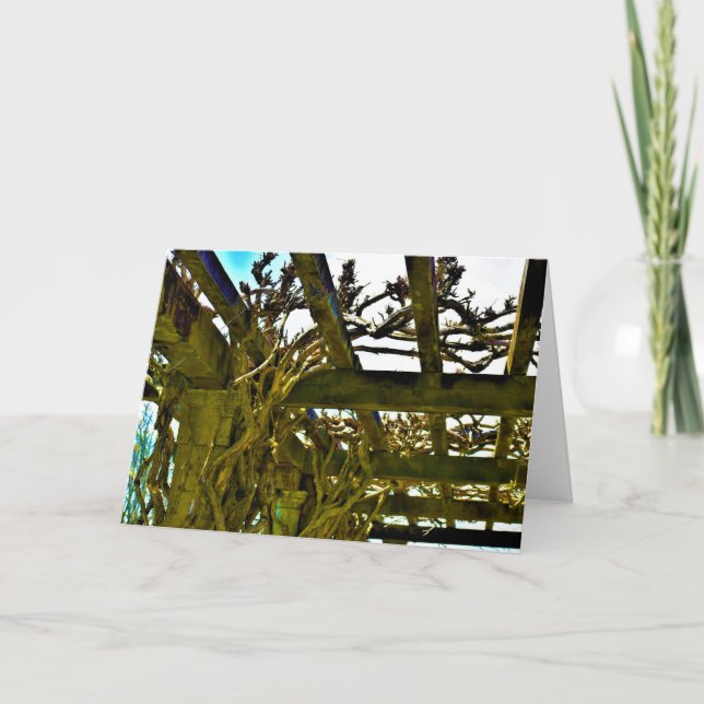 Wisteria, carte (Devant)