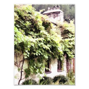 WISTERIA COTTAGE PHOTO PRINT