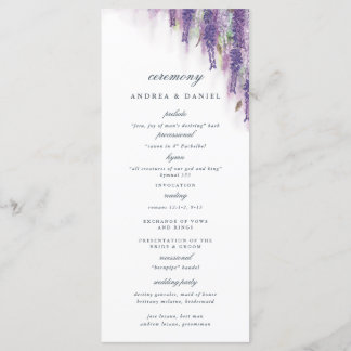 Wisteria dreams program