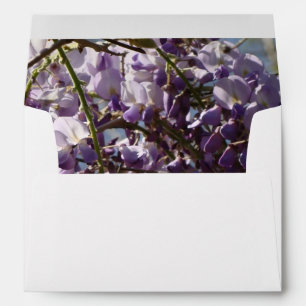 Wisteria Envelope