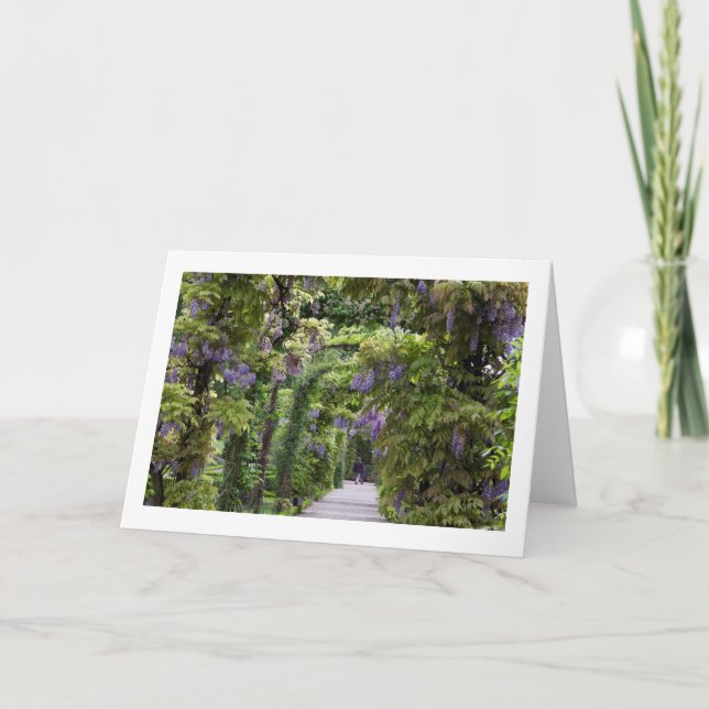 Wisteria Folded Greeting Blank Card (Front)