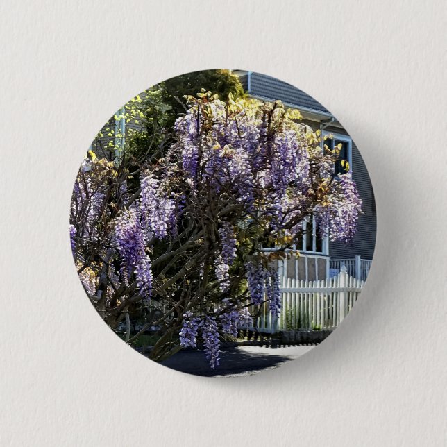 Wisteria in Bloom 2 Inch Round Button (Front)