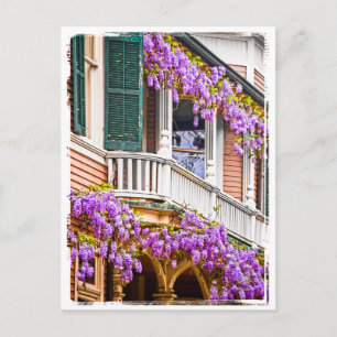 Wisteria on a Vintage Southern  Home in Savannah Postcard