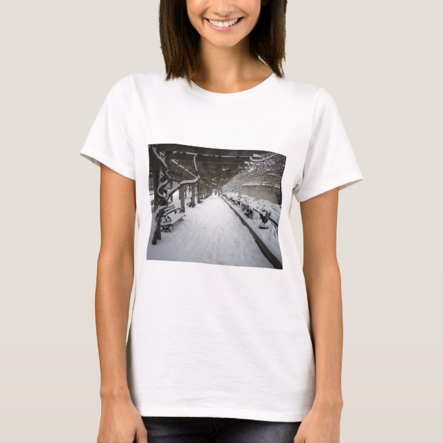 Wisteria Pergola in Winter, Central Park, NYC T-Shirt (Front)