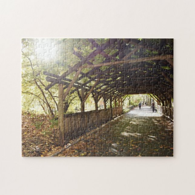 Wisteria Pergola New York City Central Park NYC Jigsaw Puzzle (Horizontal)