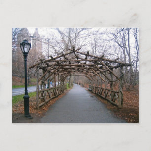 Wisteria Pergola New York City Central Park NYC Postcard