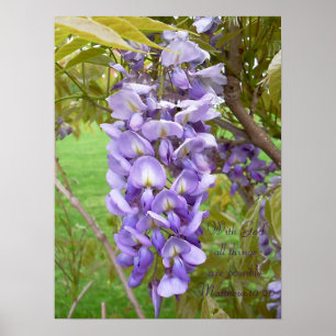 "Wisteria"... Scripture Print
