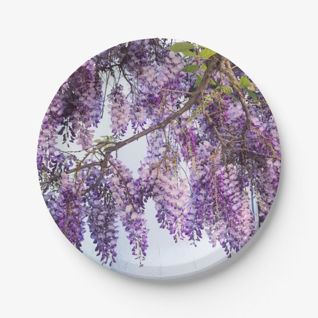 Wisteria Shower Paper Plates (Front)