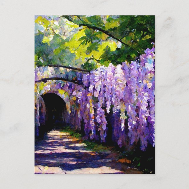 Wisteria tunnel postcard (Front)