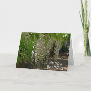Wisteria White Garden Flowers Happy Birthday Card