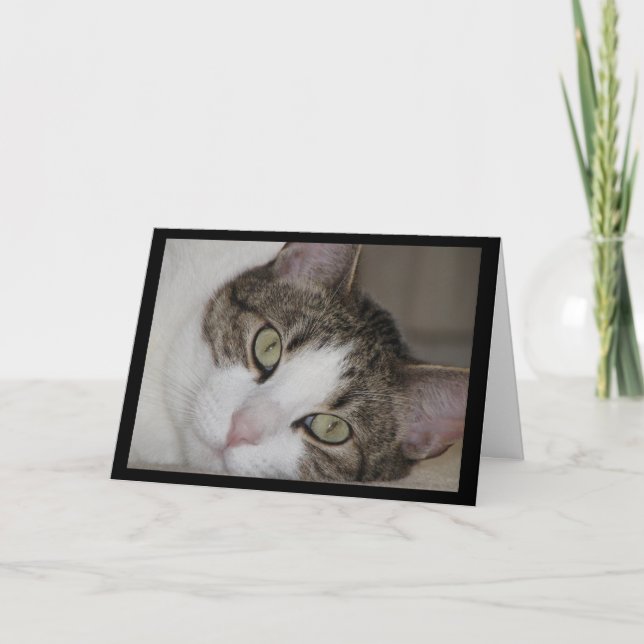Wistful Cat Missing You Greeting Card (Front)