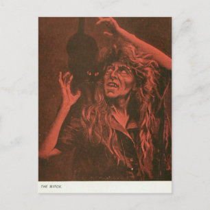 Witch and Her Cat Postcard