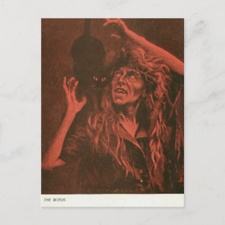 Witch and Her Cat Postcard