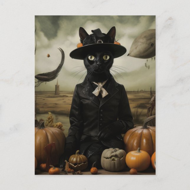 Witch Cat with Pumpkins  Postcard (Front)