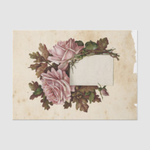 Witch Ephemera  Design Series #13 Tissue Paper