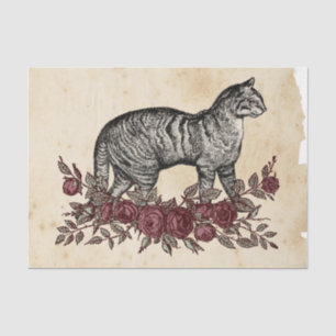 Witch Ephemera  Design Series #4 Tissue Paper