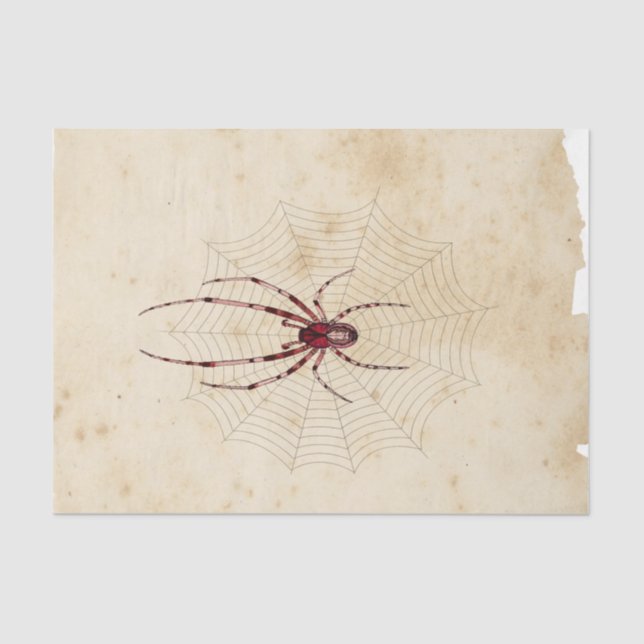 Witch Ephemera  Design Series #7 Tissue Paper (Front)