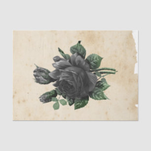 Witch Ephemera  Design Series #9 Tissue Paper