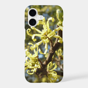 Witch Hazel Flowers
