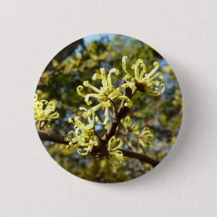 Witch Hazel Flowers 2 Inch Round Button