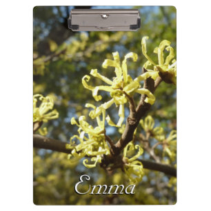 Witch Hazel Flowers Clipboard