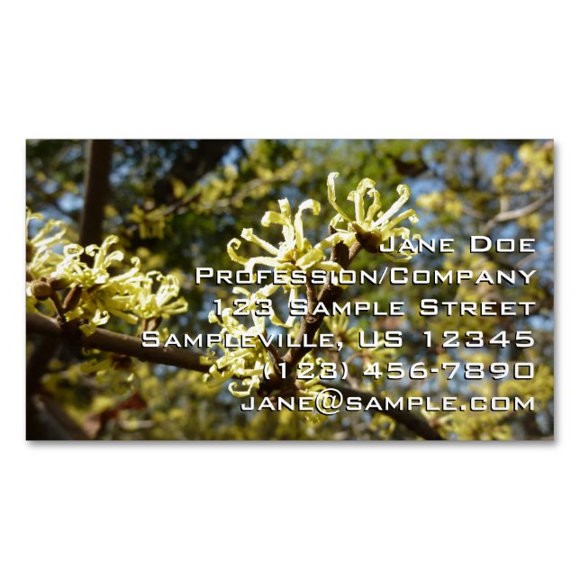 Witch Hazel Flowers Magnetic Business Card (Front)
