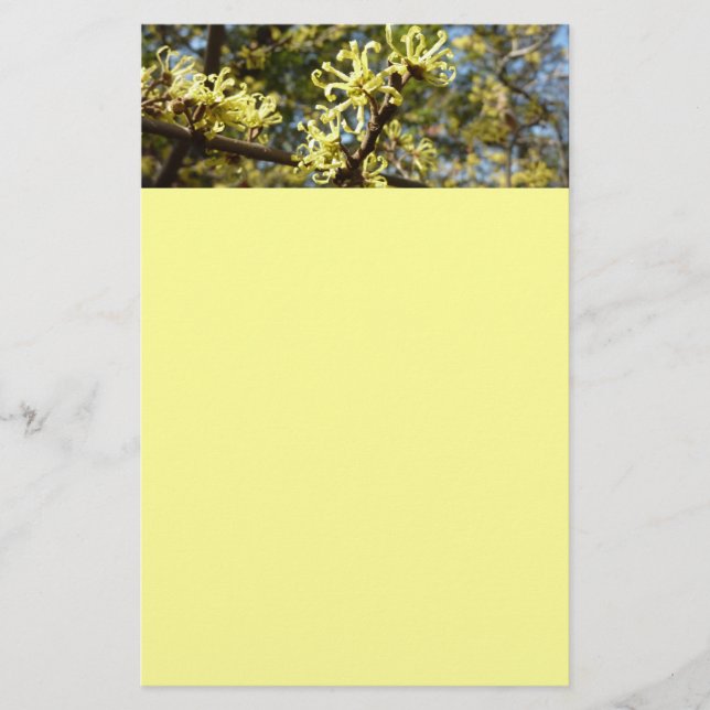 Witch Hazel Flowers Stationery (Front)