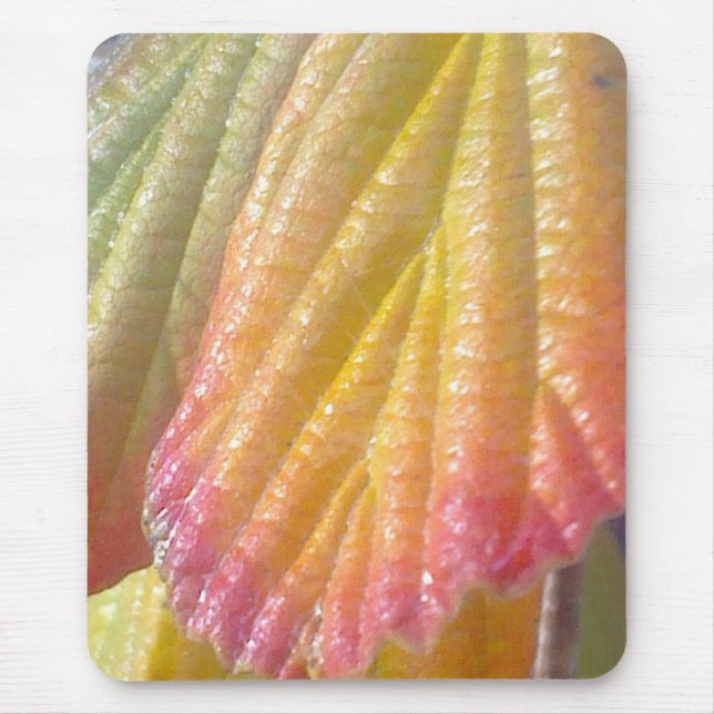 Witch Hazel Leaf Mousepad (Front)