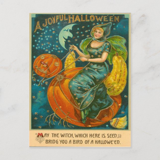Witch Jack O Lantern Bird Pumpkin Crescent Moon St Postcard (Front)