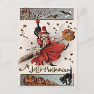 Witch Jack O Lantern Black Cat Bat Owl Postcard