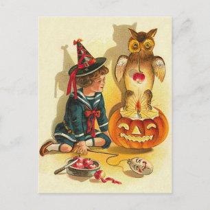 Witch Owl Jack O Lantern Pumpkin Postcard