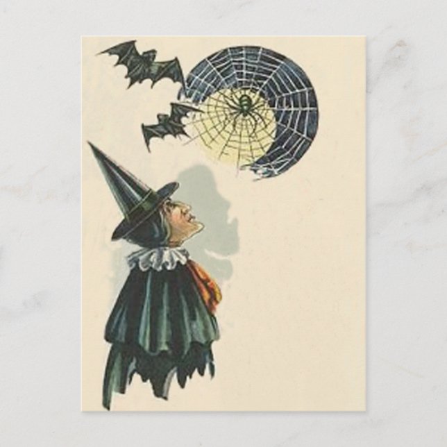 Witch Spider Bat Spiderweb Cobweb Full Moon Postcard (Front)